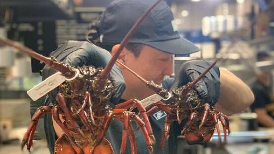 Add a lobster to your seafood set at Terra. Picture supplied