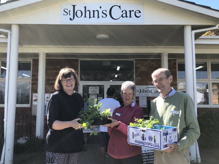 Rosemary Castle handing over seedlings to St Johns Care volunteers Chris and Neil, in Reid. Picture: Susan Parsons