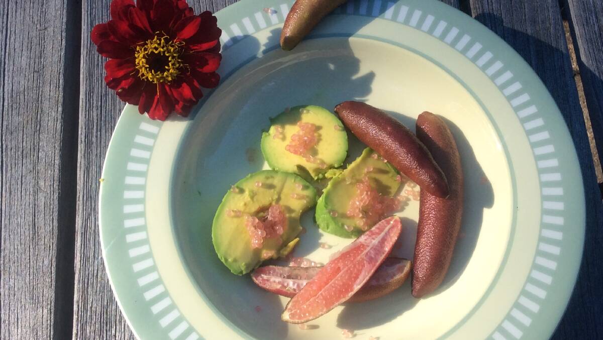 The "citrus caviar" was spooned onto quarters of avocado. Picture: Supplied