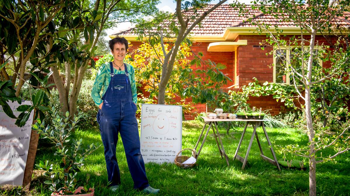Fiona Buining is selling produce from a garden stall at her Ainslie home. Picture: Elesa Kurtz