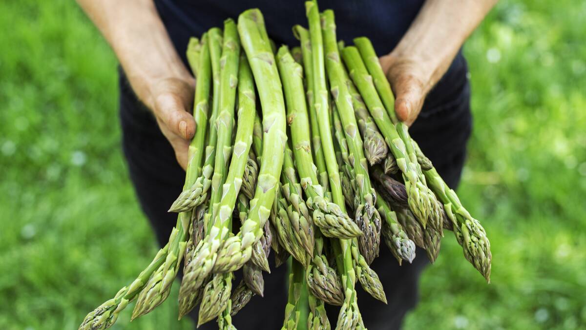 Who doesn't love fresh asparagus at this time of year? Picture: Shutterstock