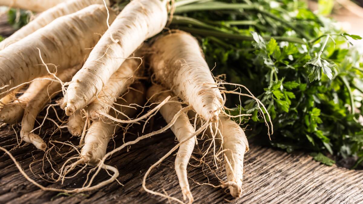 Parsnips are a favourite root vegetable of Parsnip Parsons. Picture: Shutterstock