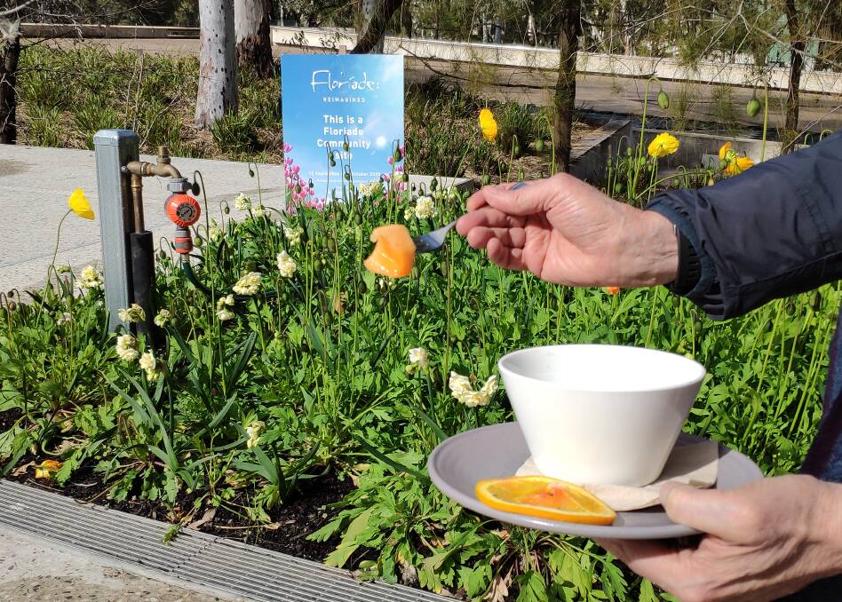 First of the Floriade Reimagined flowers and last mouthful of fruit salad but where?
Picture: Roger Smith
