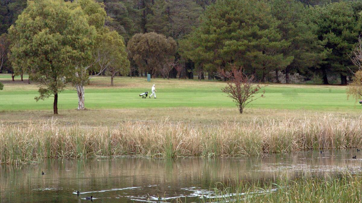 In 1960 the Royal Canberra Golf Course moved to the area of Westbourne Woods. Picture by Gary Schafer 