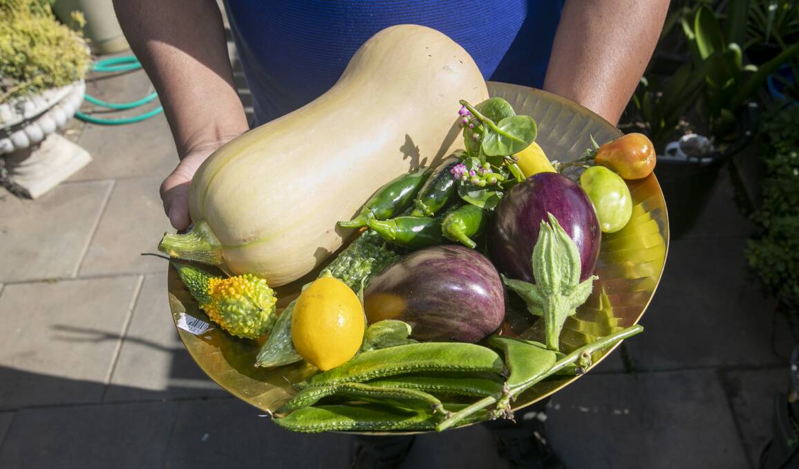 A bountiful harvest basket from the Alam garden. Picture: Keegan Carroll