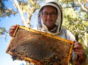 Cormac Farrell is the head beekeeper at Australian Parliament House. Picture: Elesa Kurtz.
