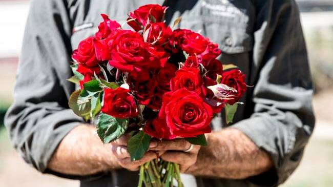 Where to celebrate Valentine's Day in Canberra