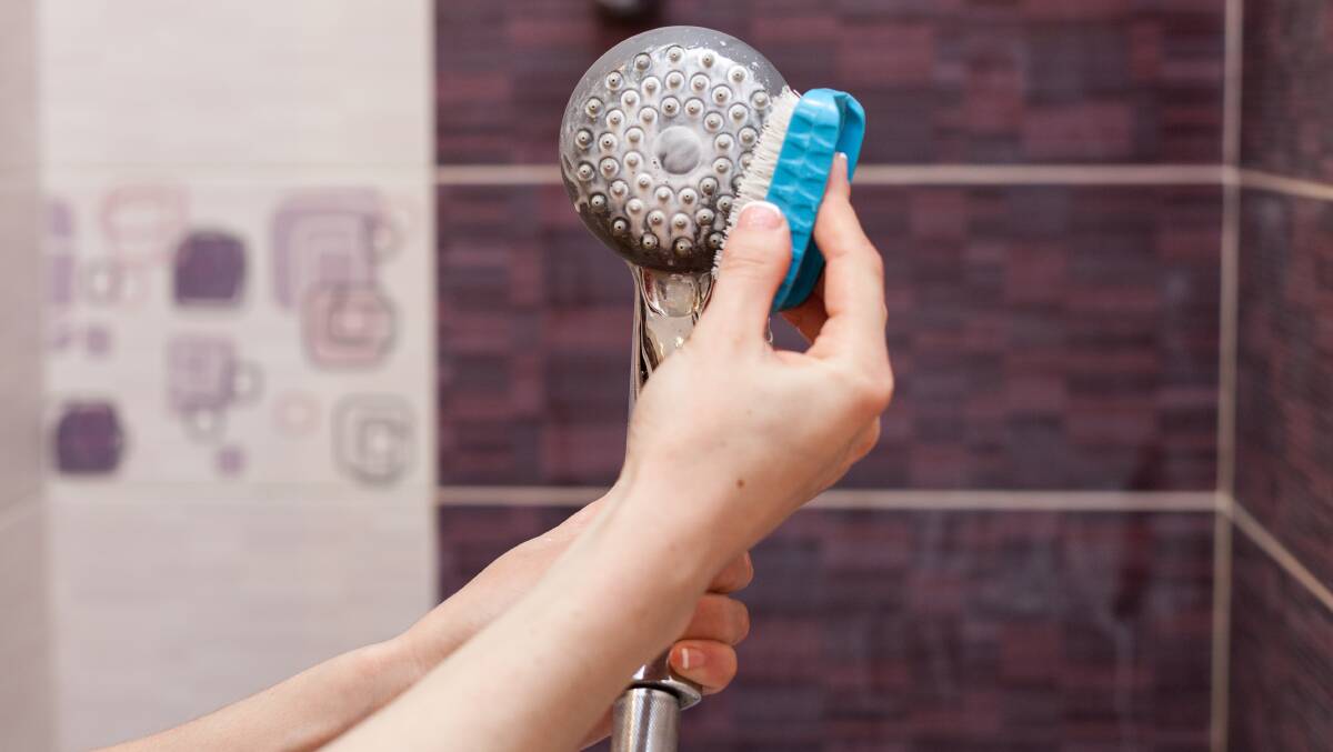 Clean your showerhead four times a year to keep it working well. Picture by Shutterstock