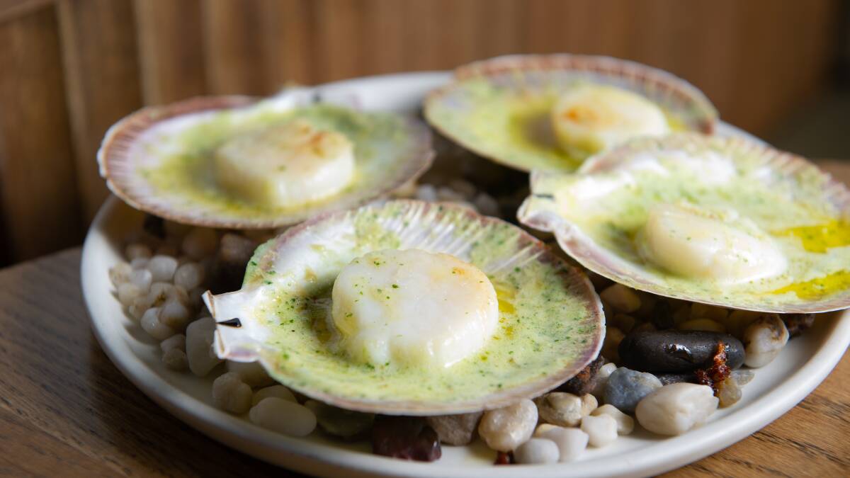 Half-shell scallops with garlic butter. Picture: Elesa Kurtz
