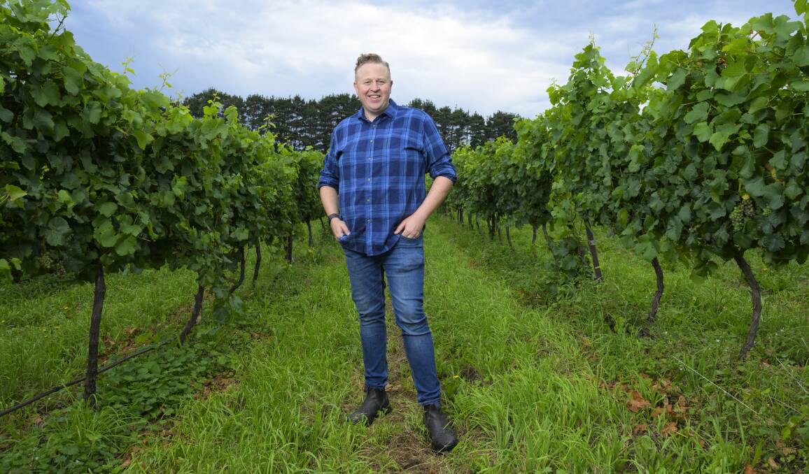 Lark Hill winemaker Chris Carpenter has a clean and healthy crop of grapes. Picture by Keegan Carroll