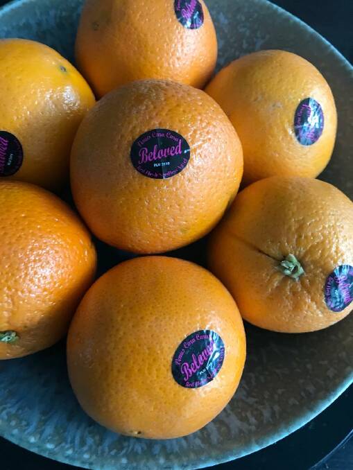 Beloved navel oranges. Picture: Supplied