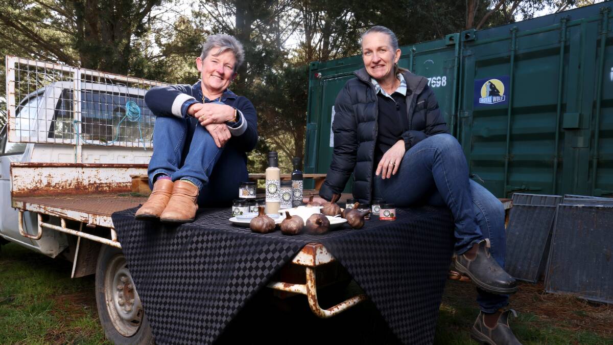 Cathy Owen and Jenny Daniher are now Australia's largest producer of black garlic. Picture by James Croucher 