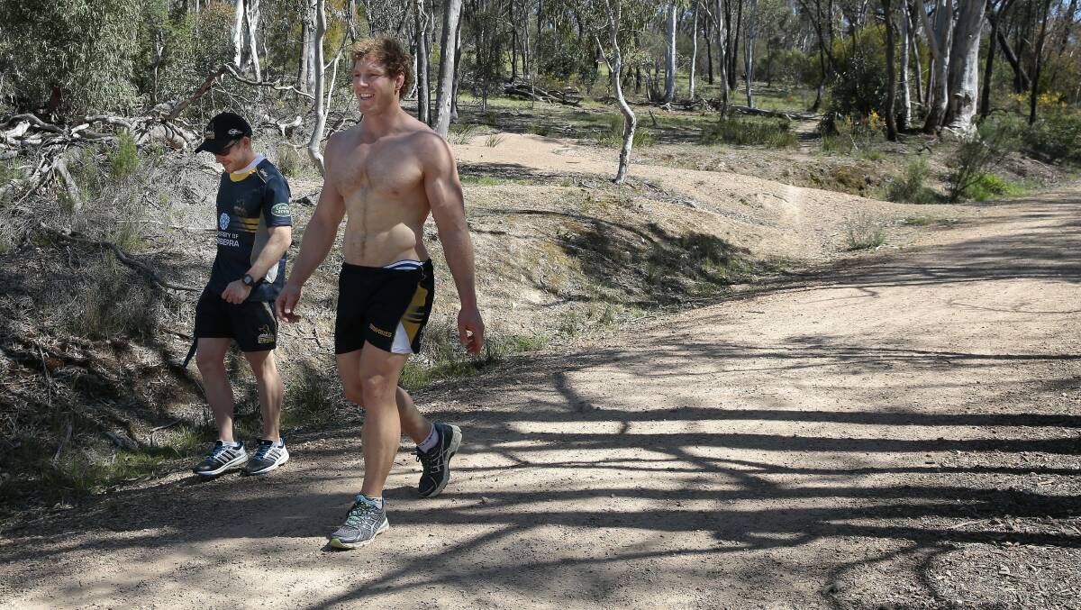 Back when he was a Brumbies player David Pocock did shuttle runs up at Bruce Ridge, not far from my favourite walking spot. Picture by Jeffrey Chan