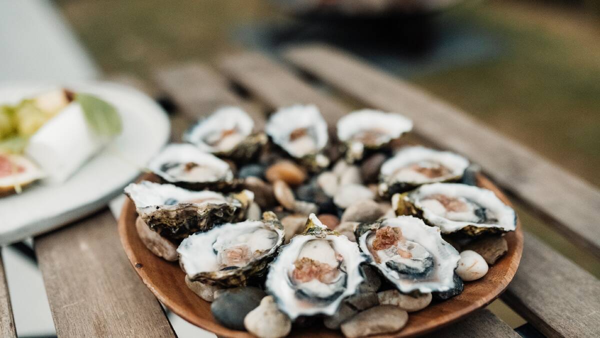 South Coast oysters with a finger lime mignonette. Picture: Supplied