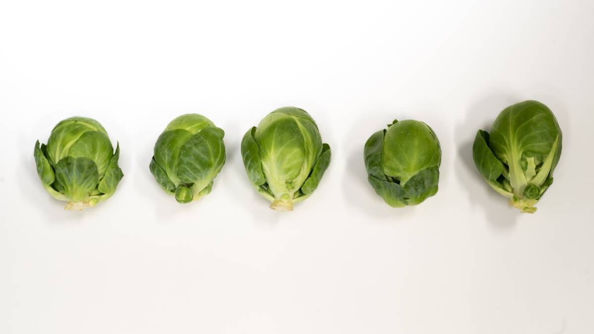 Brussels sprouts are back in vogue. Picture: Karleen Minney