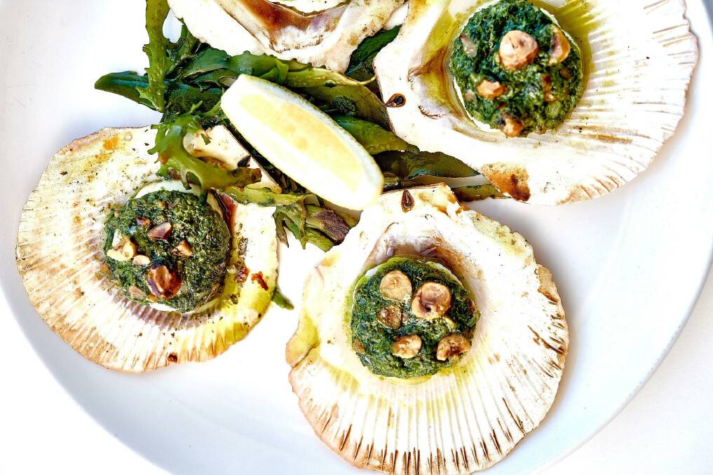 Grilled scallops with coriander and hazelnut butter. Picture supplied