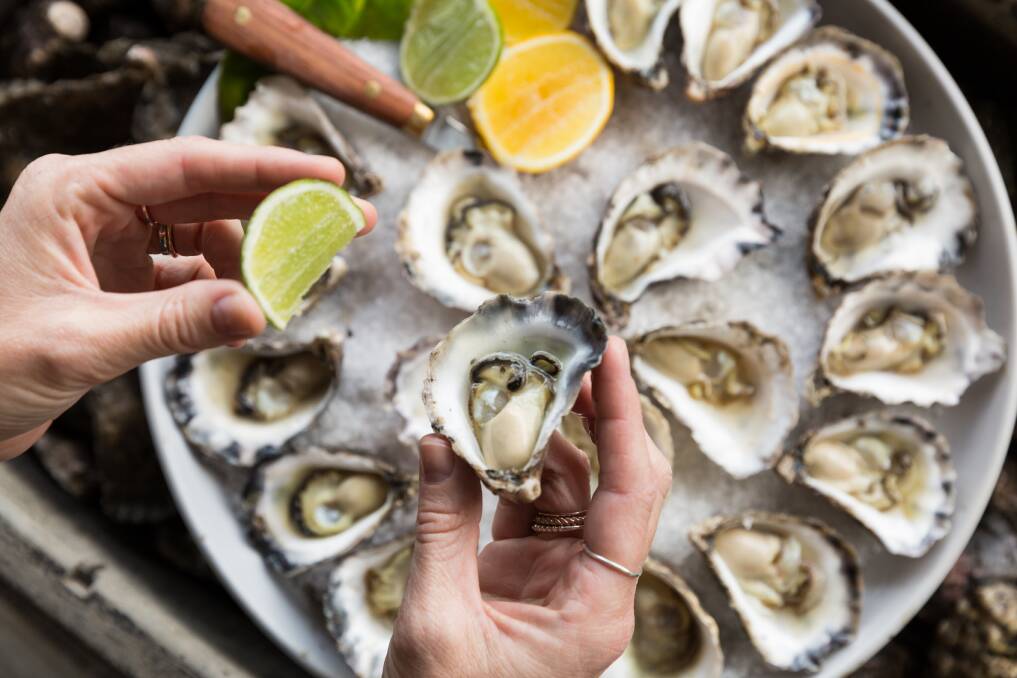 More than 45,000 oysters were consumed at the festival in 2019. Picture: Eurobodalla Tourism