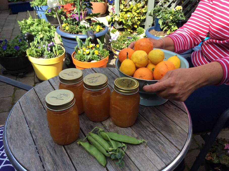 Christine Mounics homegrown citrus and homemade marmalade. Picture: Susan Parsons