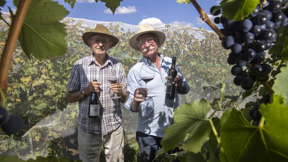 John Kirk and Ken Helm among the vines at Clonakilla. Picture: Keegan Carroll