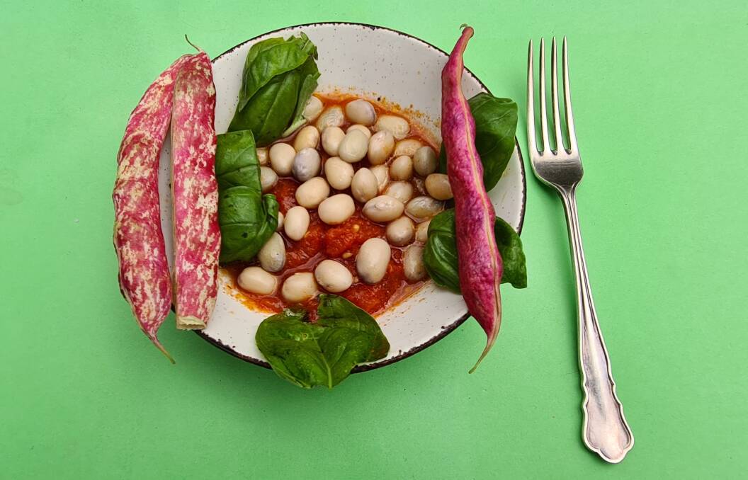 Fresh borlotti beans with tomato puree and basil. Picture: John Carew