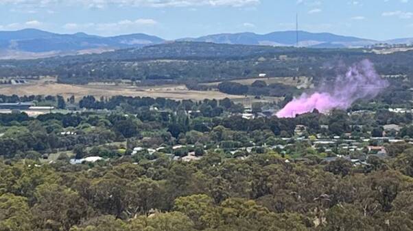 My favourite place to watch the burnouts, from the top of Mount Majura. Picture by Karen Hardy