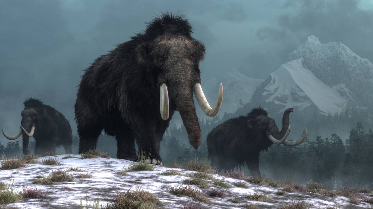 What have we learned about our relationship with nature since mammoth roamed the world? Picture: Shutterstock