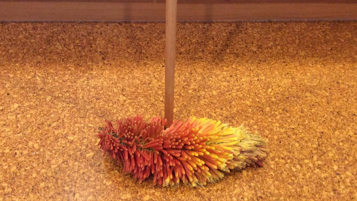 Red hot floor mop. Picture: Susan Parsons 