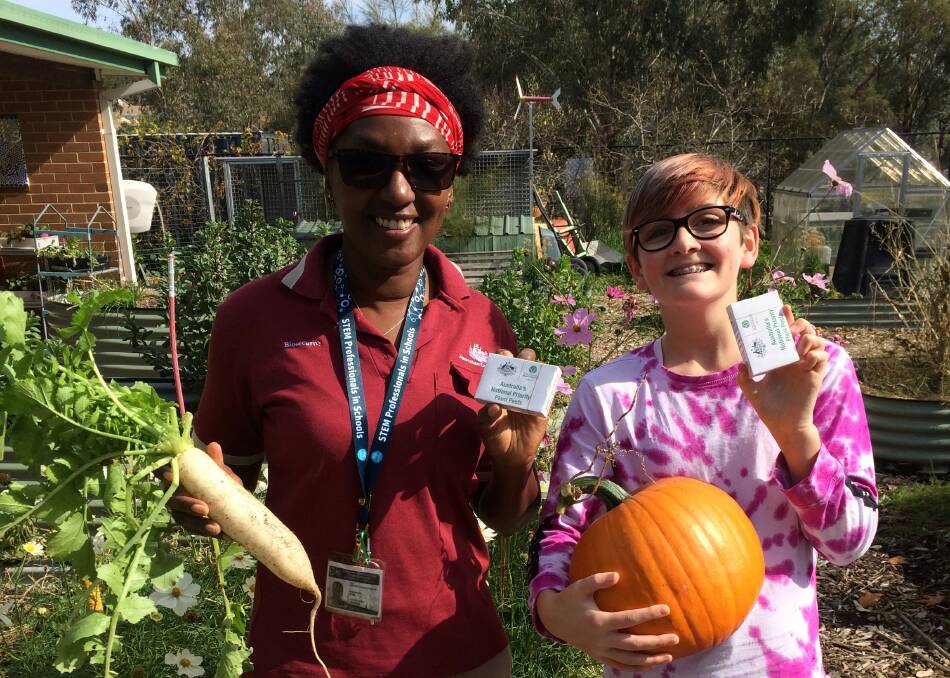 Carol Quashie-Williams and Poppy Rowe (12) holding the Plant Pest playing cards and a daikon and pumpkin in Farrer Primary School Environment Centre kitchen garden. Picture: Supplied