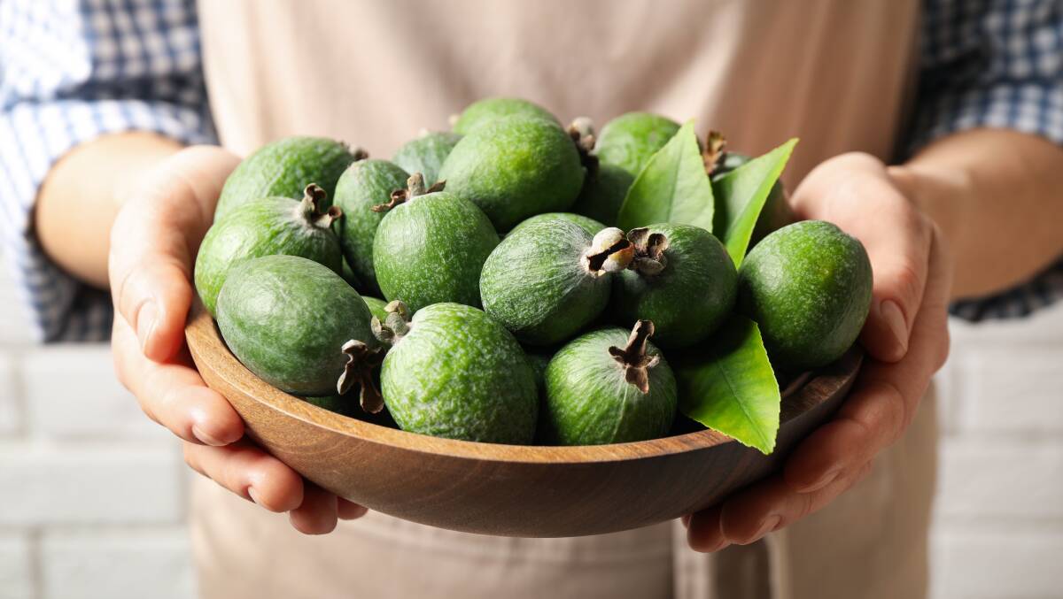 It's been a mixed season for feijoas in Canberra. Picture: Shutterstock