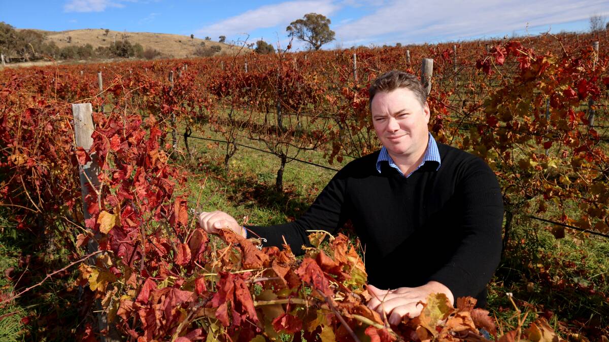 The Canberra District's Nick O'Leary has also been shortlisted in the Best Value Winery category. Picture: James Croucher 