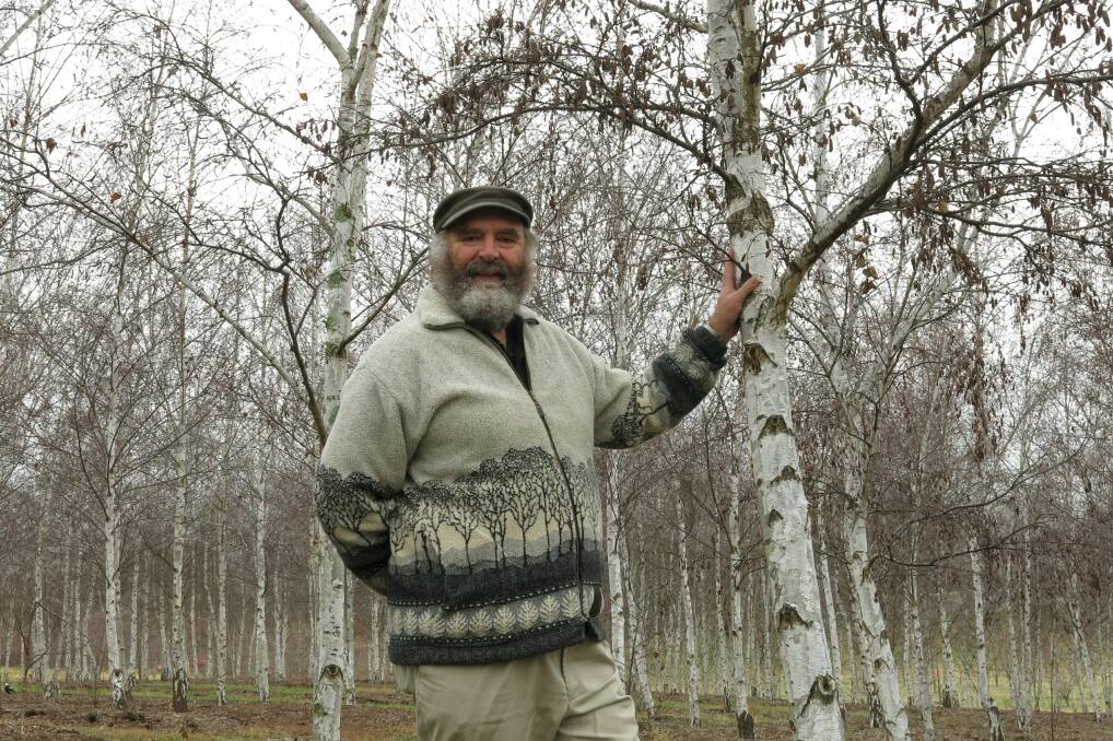 Associate professor Cris Brack in the silver birch forest at the National Arboretum. Picture: Jacqueline Brack 