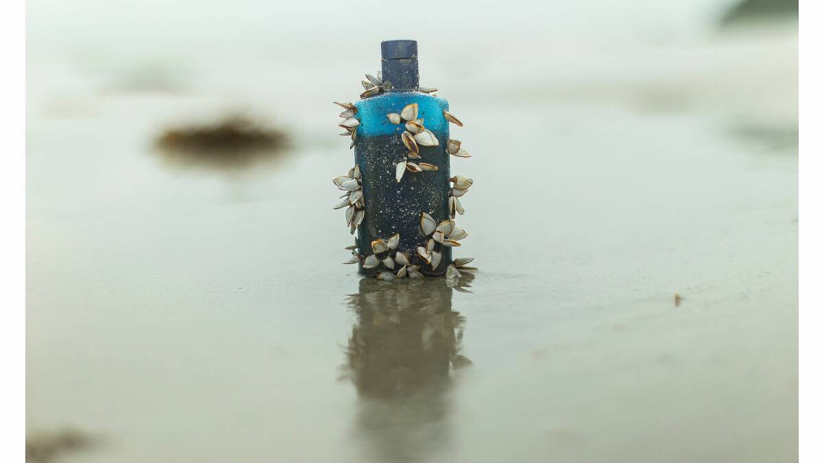 Hilary Wardhaugh, Message In a Bottle, 2023. Picture supplied