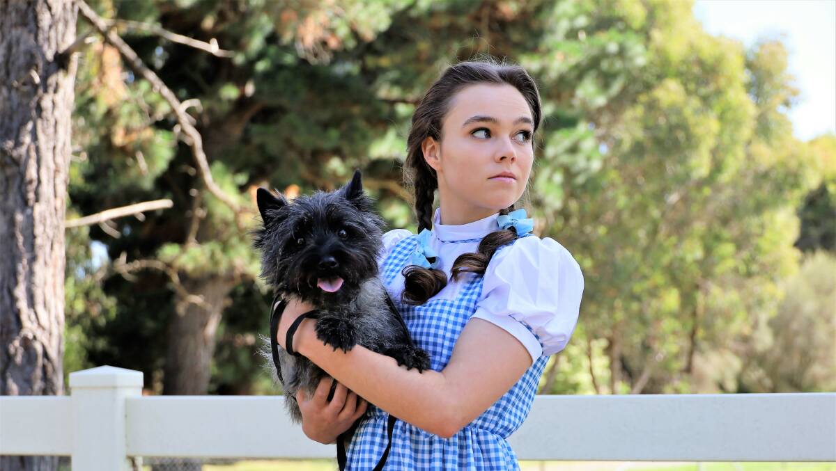 Kellee-Rose Hand as Dorothy in Ickle Pickle's The Wizard of Oz. Picture by Cathy Breen