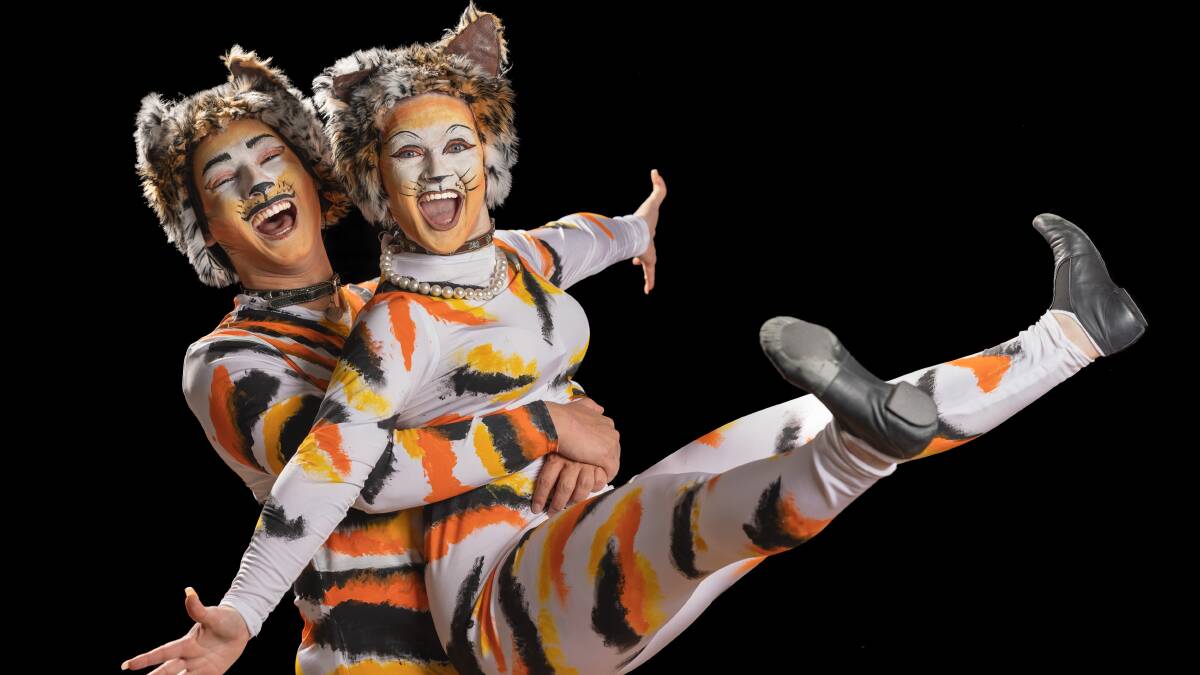 The musical Cats will be Philo's first production in 2023 after a quiet  70th year, The Canberra Times
