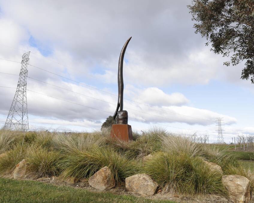 David Wong: Little Eagle, Ginninderry, 2022. Picture supplied