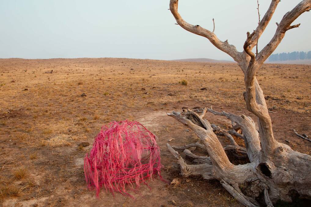 Sophie Dumaresq, Hairy Panic, Untitled#15. Picture: Supplied