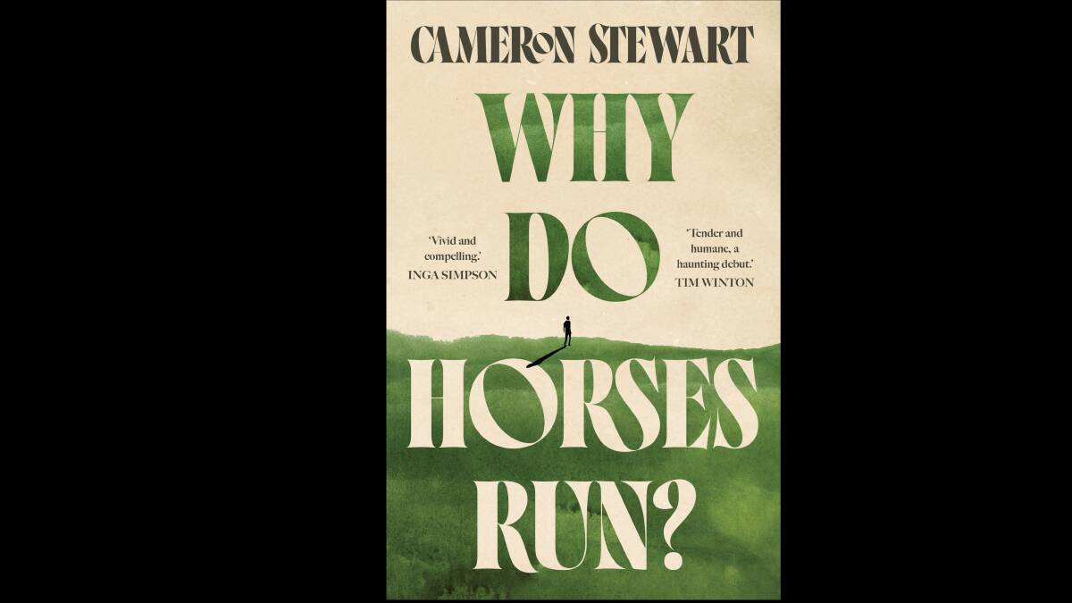 Why Do Horses Run?, by Cameron Stewart. 