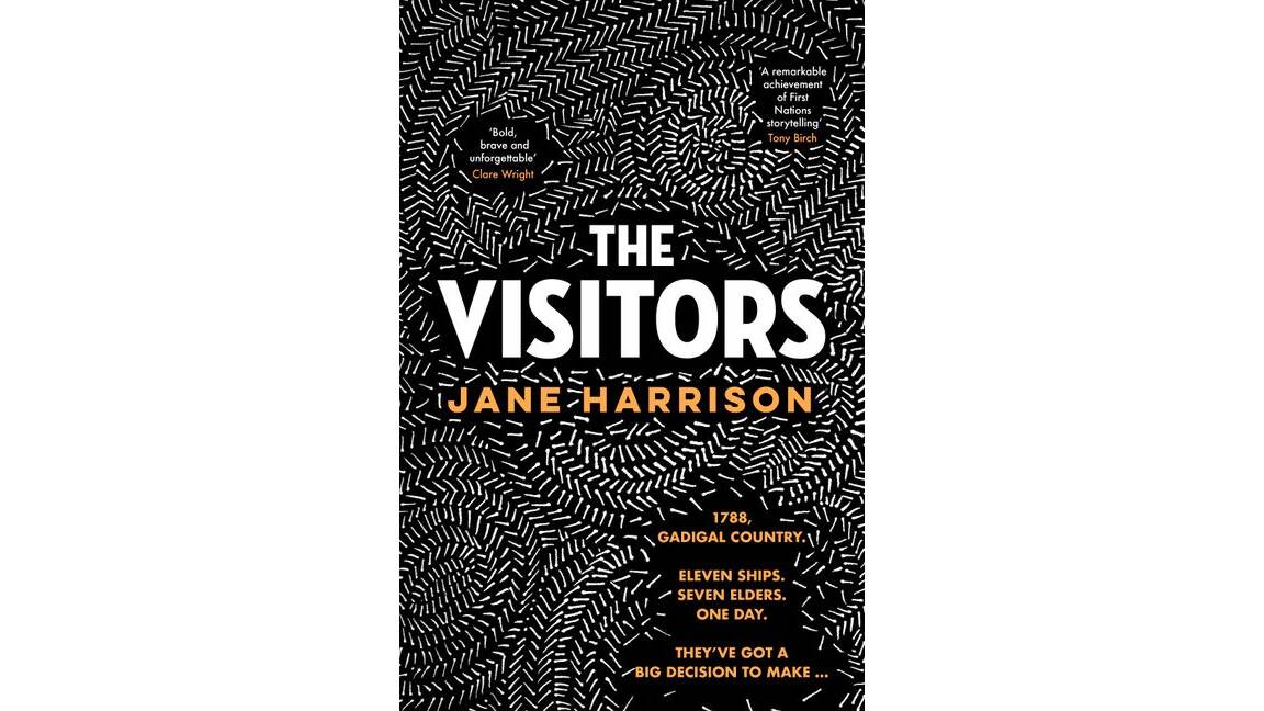 The Visitors, by Jane Harrison.