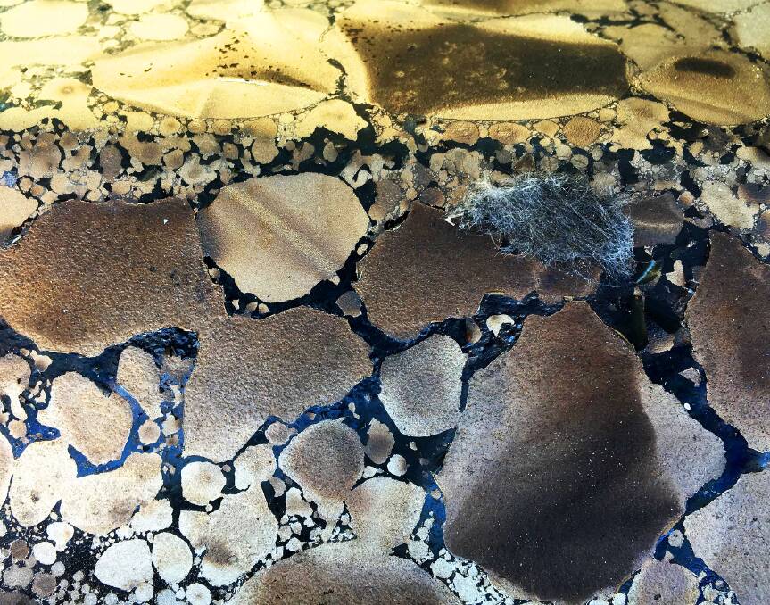 Imogen Wall, Titan II in Burnout. Picture: Supplied