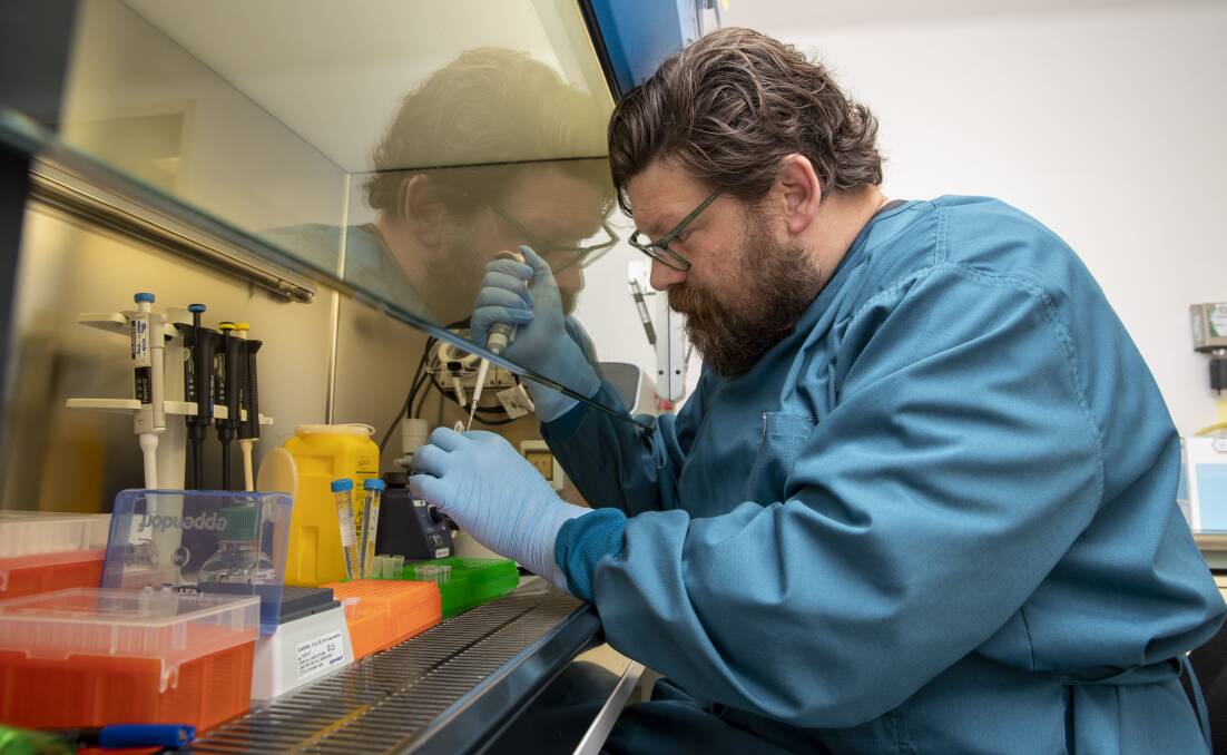 Cameron Ewens of the TGA works on the COVID-19 vaccine to ensure a safe rollout. Picture: Keegan Carroll