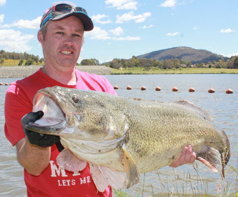 Murray cod season has opened and promises to be a cracker.