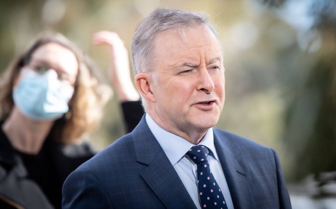 Labor Leader Anthony Albanese. Picture: Karleen Minney
