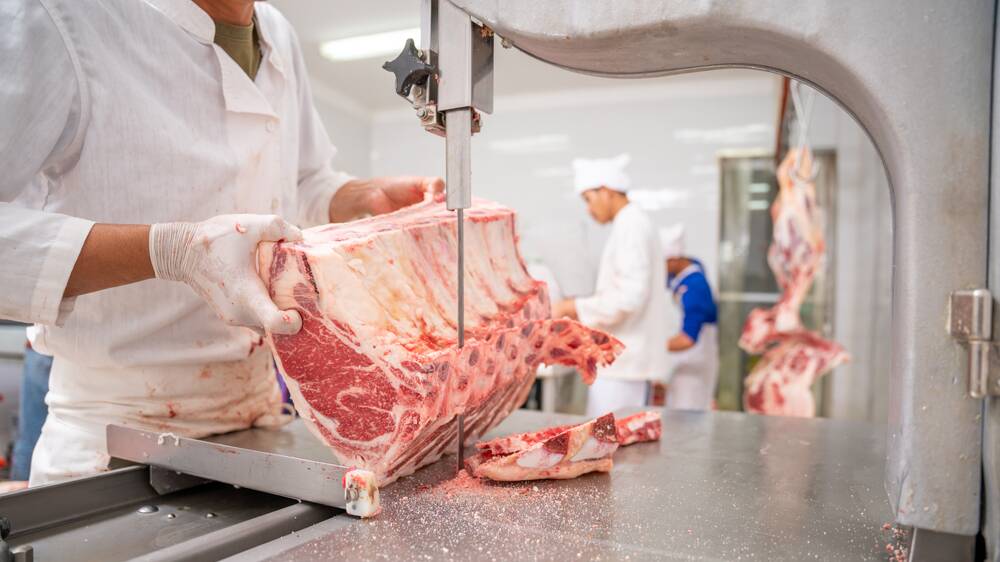 Mass-produced meat farming harms us all. Picture Shutterstock