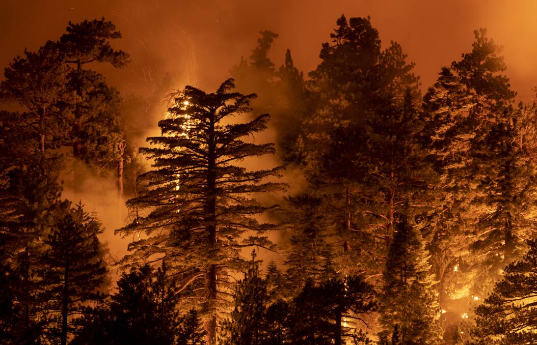 The Bobcat Fire burns through the Angeles National Forest, north of Monrovia, California on September 11. Picture: Getty Images