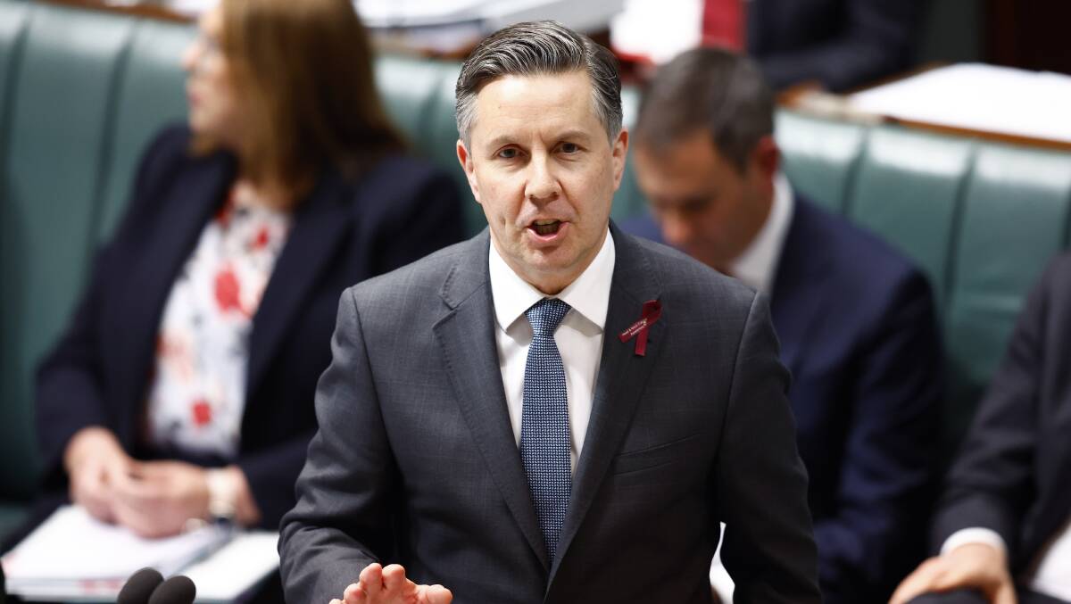 Federal Health Minister Mark Butler. Picture by Keegan Carroll