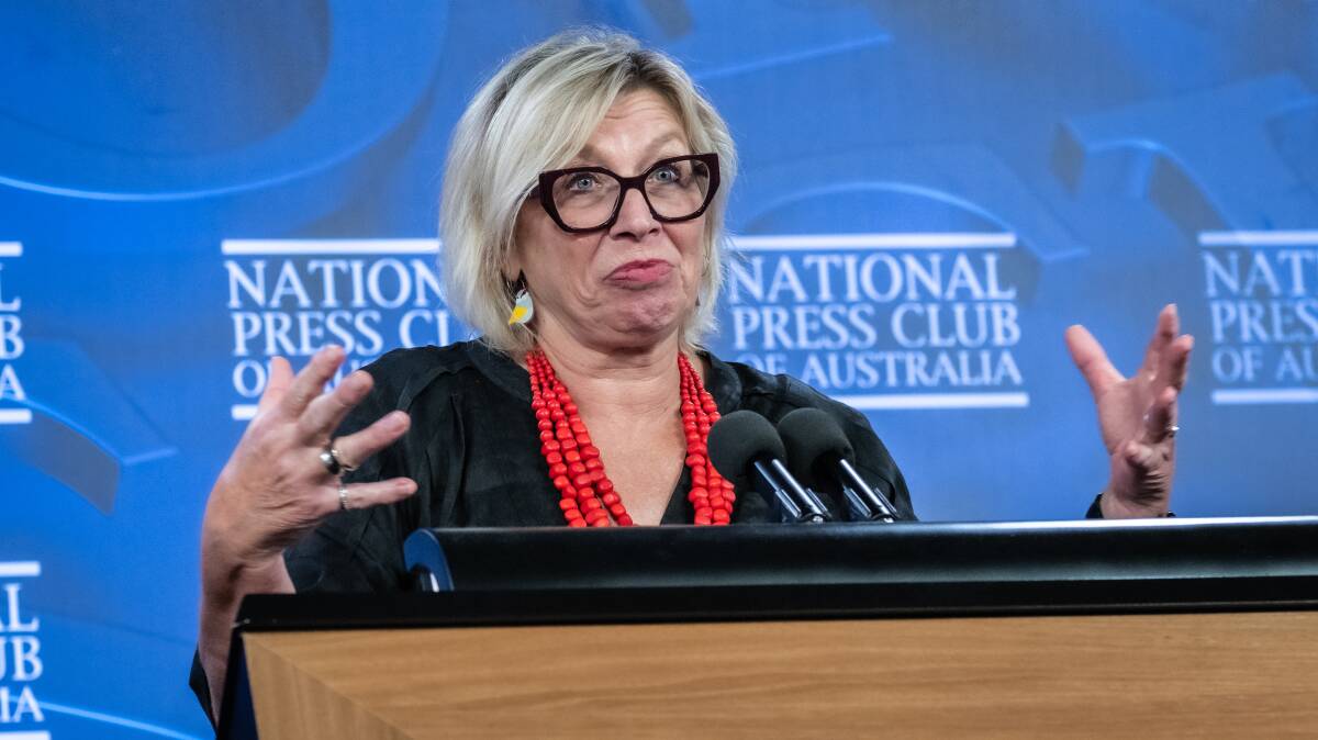 Rosie Batty speaks at the National Press Club last month. Picture by Karleen Minney