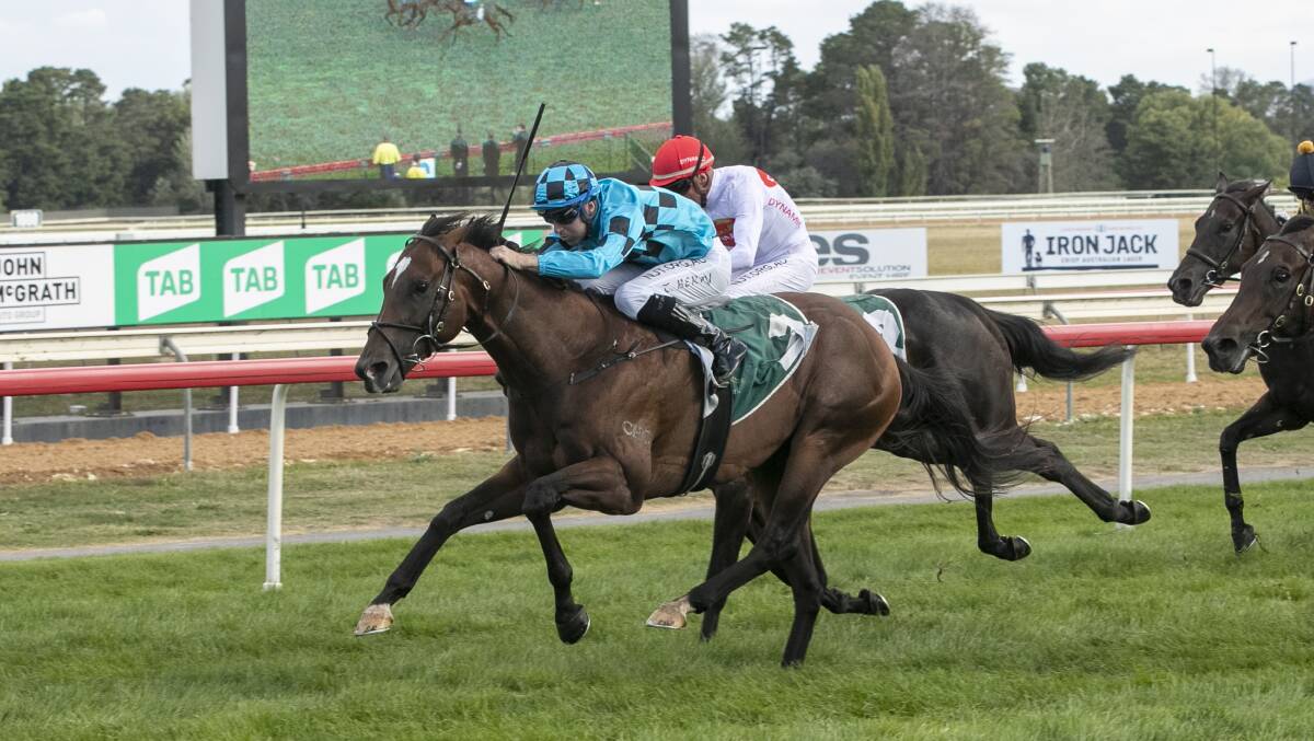 Tommy Berry guides Equation home to win the $150,000 Canberra Guineas. Picture: Keegan Carroll