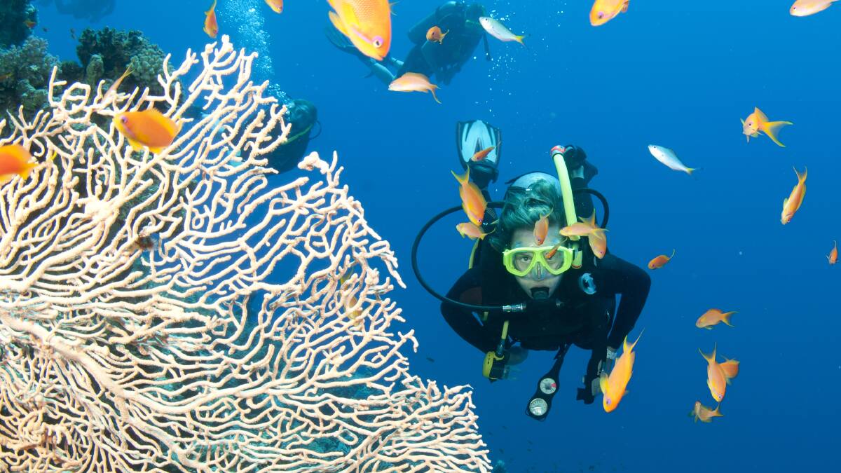 The beautiful Great Barrier Reef is in danger. Picture: Shutterstock
