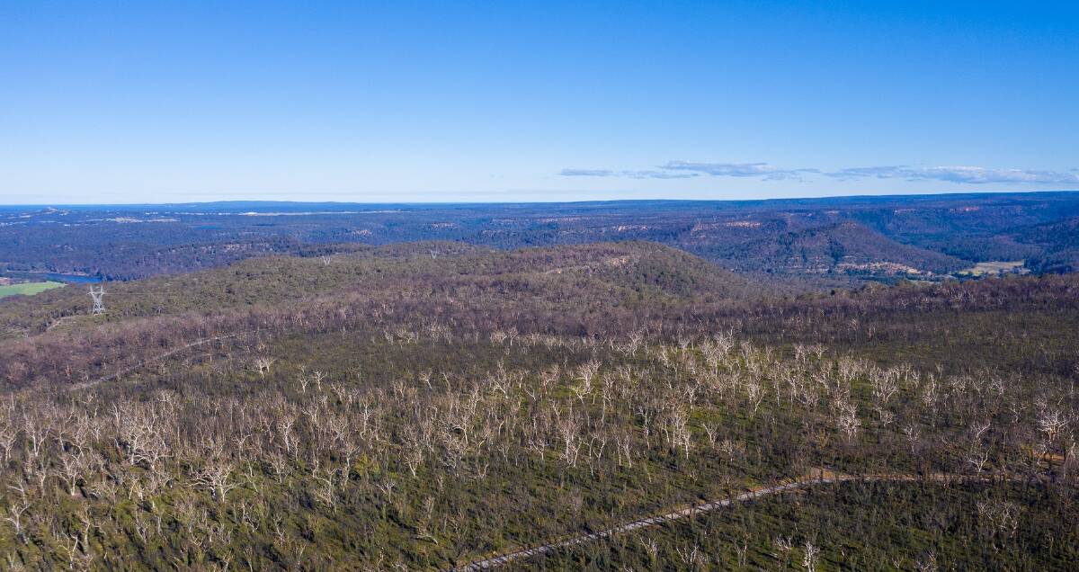 FOR SALE: The 154.1 hectares (about 380 acres) Sir Sidney Nolan property at Illaroo adjoins the Bundanon Trust property of his brother-in-law Arthur Boyd.