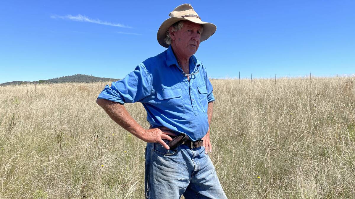 Charles Massey standing in a paddock filled with native grasses, including kangaroo grass. Picture: Soofia Tariq